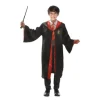 Harry Potter Rooliasu