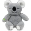Meditaatio Koala
