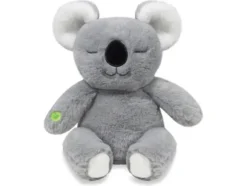 Meditaatio Koala