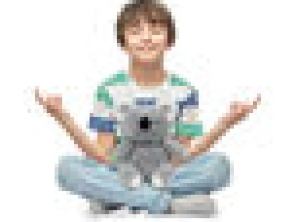 Meditaatio Koala