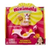 Miximals Cattractor