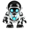 Robosapien Remix