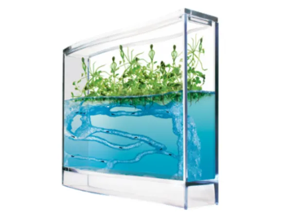 Super Antquarium